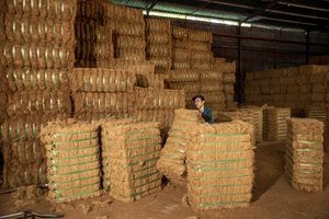 Fibres de coco brun doré de qualité supérieure, faible teneur en impuretés, balles de 100 kg, matériau de rembourrage en fibres naturelles de haute qualité - Product Image 3