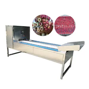 Industrial Litchi Coring Machine Olive Core Removal machine Plum Pitting Machine for Fruits