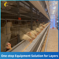 Cages à poules pondeuses de type H, capacité 90 ou 160, pour ferme avicole, personnalisables, à vendre