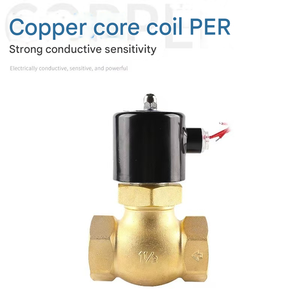 2L US <span class=keywords><strong>2</strong></span>/<span class=keywords><strong>2</strong></span> yollu <span class=keywords><strong>Pilot</strong></span>-buhar ve su ve gaz Normal kapatma pirinç veya paslanmaz çelik kontrol vanaları için Solenoid vanalar çalıştırıldı - Product Image 2