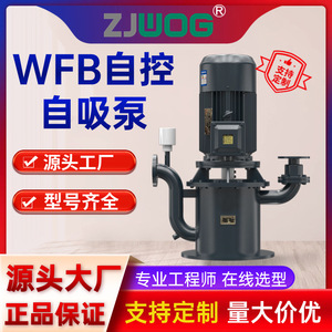 Wfb Seal Less Self Priming Pump Cast <b>Iron</b> Body High Flow High Head Electric Motor Sewage Pump - Product Image 5