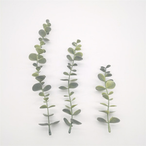 Feuilles d'eucalyptus artificielles Shuoyi 10cm-30cm en plastique pour la décoration intérieure et les accessoires de photographie - Product Image 4