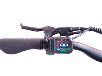 Vélo électrique connecté antivol 48V 500W avec cadre en alliage d'aluminium et batterie 1680Wh pour flotte de location, suivi GPS et IoT Cargo