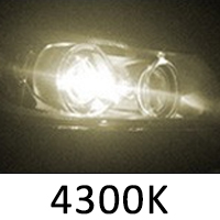 4300K Blanco Amarillo