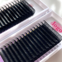 Extension de cils individuels de marque privée, fournitures en gros, éventail facile, plateaux de cils de 8 à 25 Mm C D, Extension de cils noirs mats