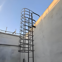 Échelle de sécurité industrielle personnalisée avec cage, échelle d'évacuation incendie, marches antidérapantes pour silo d'usine, tour, fabrication DIY ODM