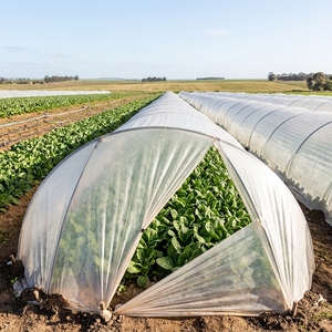 Filet anti-insectes à mailles fines avec protection des bords pour serres et jardins – Service de découpe disponible - Product Image 1