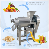 Extracteur de jus industriel à spirale robuste, presse-agrumes commercial pour mangue, raisin, carotte, concombre