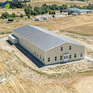Estructura de Acero en Sección H de Alta Capacidad de Carga, Almacén Prefabricado, Gran Espacio Abierto, Estructura de Depósito Industrial - Product Image 1