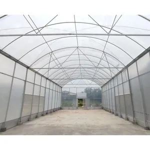 Custom 200micro Good Quality And Easily Installed Agricultural/Commercial Green House Greenhouse