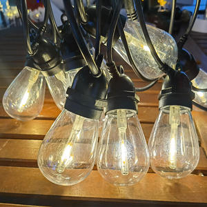 Không thấm nước <span class=keywords><strong>LED</strong></span> Đảng Wedding Tree trang trí vườn Patio chiếu sáng kỳ nghỉ Đèn Ngoài Trời Nhà Máy Giá S14 chuỗi đèn - Product Image 3