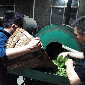 <span class=keywords><strong>Thé</strong></span> vert en poudre à base de plantes de qualité supérieure de Chine, spécial Afrique de l'Ouest, Maroc, <span class=keywords><strong>Mauritanie</strong></span>, naturel - Product Image 4