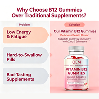 Gummies de Vitamine B12 Extra Forte OEM 2500mcg – Énergie, Concentration, Humeur, Soutien Immunitaire avec Zinc et Échinacée – 60 Gummies