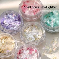 Hiasan Kuku 3D Gaya Campuran, Potongan Cangkang Iridescent, Bubuk Opal, Bunga Kering, Glitter & Serpihan Awan Impian untuk Manikur