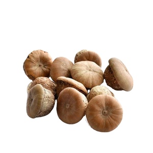 Fourniture Usine Fruit <span class=keywords><strong>Aphrodisiaque</strong></span> <span class=keywords><strong>Naturel</strong></span> 100% Biologique pour l'Exportation - Product Image 4