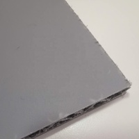 Panneau de Flight Case en PP alvéolé personnalisé avec structure sandwich légère