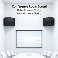 Moniteur de scène professionnel en forme de cale, enceinte de monitoring passive pour spectacles en direct, KTV, bars et concerts