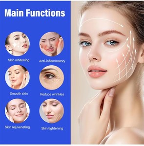 12-in-1 Multifunctional Standing Skin Care Device with Skin Tightening Ice Hammer Climbing Power Spray Gun for Face Hand Beauty - Product Image 5