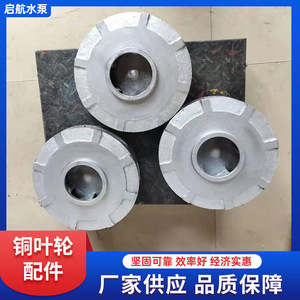 Impulsor cerrado con superficie pulida para bombas de vacío de anillo líquido y piezas de bombas centrífugas - Product Image 5