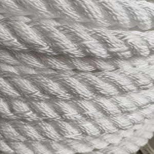 High Performance 3-Strand Twisted Danline Polypropylene Rope 28mm <strong>New</strong> <strong>Material</strong> <strong>PP</strong> Rope for Marine Supplies Packaging - Product Image 2