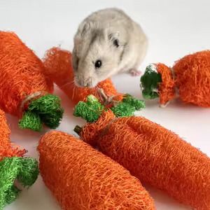 Zenidoo Factory Supply Jouet à mâcher naturel en loofah pour perroquets et lapins, en forme de carotte, jouet à mâcher couineur pour la dentition et le nettoyage des dents, étanche, jouet pour le foie - Product Image 5