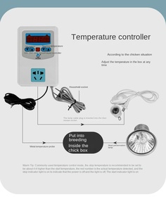 Brooder Box <b>Heater</b> for Chicks Quails - Poultry Incubator, Bird & Reptile Terrarium with Thermostat - Product Image 4