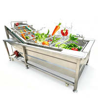 Commerciële luchtbelwasmachine voor groenten en vis, industriële fruitreiniger 2000kg/uur, ozonwasser