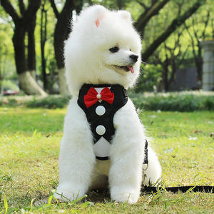 Arnés de pecho y correa para perro, chaleco cómodo de nailon para perro - Product Image 3