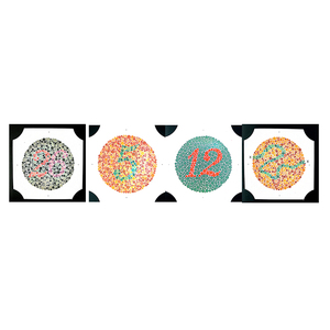 안과 검사 안과학 색채 시력 이시하라 검사 책 38판 포함 - Product Image 3