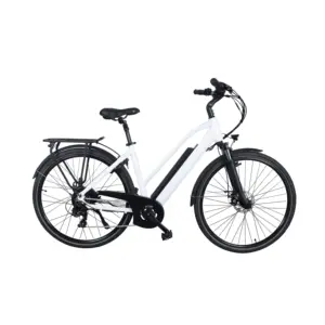 GreenPedel new model electric bicycle city ebike 36v 250w electric city bicycle