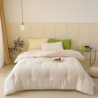 Ensemble de housse de couette en polyester de couleur unie, couette en soie, sac rose vert, ensemble de literie, coton, tencel, bambou, polyester, vente en gros