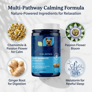 Masticables calmantes de cáñamo para perros Masticables suaves Alivio DE LA ANSIEDAD Cuidado calmante para mascotas Golosinas calmantes para perros Suplementos alimenticios - Product Image 3