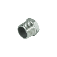 Bouchon de tuyau à tête hexagonale en acier inoxydable, filetage mâle BSP NPT DN20 pour la plomberie industrielle