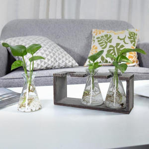 Vases hydroponiques en verre <span class=keywords><strong>avec</strong></span> support en <span class=keywords><strong>bois</strong></span> rétro, 3 béchers en verre, 2026 - Product Image 5