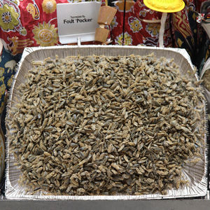 Alimentation Premium pour Tortues et Poissons : Mouches Noires Séchées au Soleil 100% Naturelles, Riches en Protéines, de 0,2 à 0,5 cm, Qualité Supérieure, Directement de l'Usine - Product Image 2