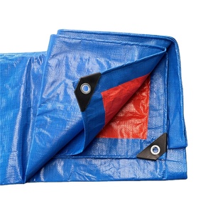 <span class=keywords><strong>Lona</strong></span> de PE recubierta de LDPE de espesor de tamaño personalizado, <span class=keywords><strong>lona</strong></span> <span class=keywords><strong>con</strong></span> ojal de aluminio - Product Image 4