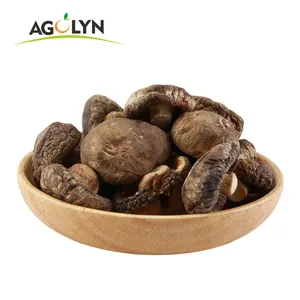 Harga Pabrik Nutrisi Tinggi Jamur Shiitake Kering 6 Cm