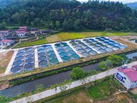 Direkt vom Hersteller: PP-Fischzuchtbecken, Aulonenzuchtbecken, Stützgestell für Aquakultursysteme, Maßgefertigte RAS-Ausrüstung für Fischzucht