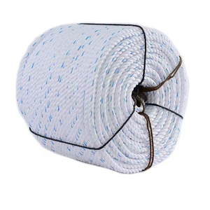 カスタマイズ可能なカラーPPダンライン耐久性3 & 4ストランドロープ1.5mm-45mm直径農業用海洋包装コイル - Product Image 5