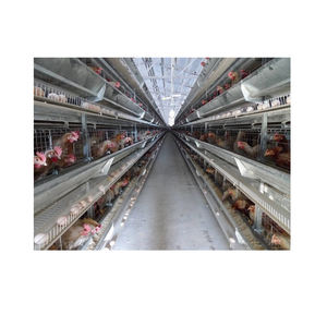 <span class=keywords><strong>2026</strong></span> Yeni Tavuk Yumurtlama Kafesleri Satılık Tam Otomatik Galvanizli Özelleştirilebilir Kümes Hayvanları Batarya Kafesleri Tavuk Çiftliği için - Product Image 6