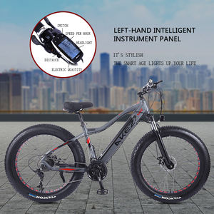 Bicicleta eléctrica con batería de 48v, <span class=keywords><strong>ebike</strong></span> de nieve de 750w, neumático ancho de 26 pulgadas, en venta - Product Image 5
