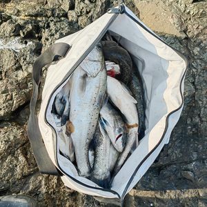 Bolsa Térmica Impermeable para Pescado Fresco 2026 de Gran Venta, Bolsa para Peces Vivos con Válvula de Drenaje - Product Image 2
