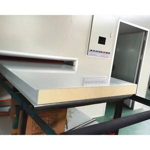 <span class=keywords><strong>Mur</strong></span> de cloison en panneaux d'acier modernes pour chambre froide de 50 mm, isolation, profil <span class=keywords><strong>mince</strong></span>, gain de place, construction écologique, PU - Product Image 1