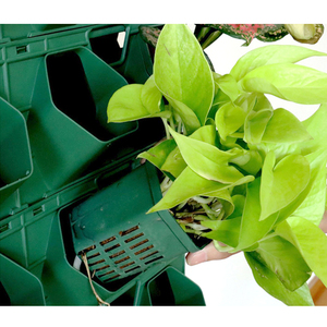 Planteur de système de mur vivant jardin vertical auto-arrosage intérieur extérieur en plastique <span class=keywords><strong>jardinière</strong></span> verticale de mur de jardin - Product Image 2