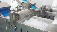 Commerciële Ozon Voedsel Sla Kokosnoot Groene Wortel En Blad Groente Dragon Fruit Luchtbel Desinfectie Wasmachine