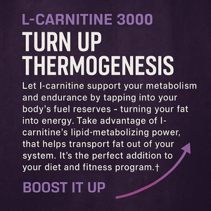 Hot Sale Carnitin Kräuter extrakt Tropfen Vitamin Wirkstoff mit Aloe Vera Extrakt Carnitin Liquid Drop - Product Image 5