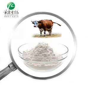 90% 硫酸糖胺聚糖 (GAG) 硫酸软骨素 (牛) 用于健康关节