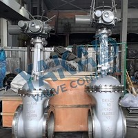 Válvula de Compuerta de Acero Inoxidable ASTM A351 CF3M, Válvula de Compuerta API 6D, Estándar, RF (Superficie Elevada)