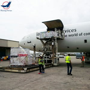 Băn khoăn aérien fiable DDP cửa đến cửa không khí biển vận chuyển hàng hóa giao nhận với kho dịch vụ từ trung quốc đến Canada chúng tôi Pháp Châu Âu - Product Image 4