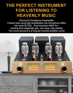 Amplificatore a Valvole MONA Audiophile 256 HIFI Stereo ad Alta Potenza 56W*2 220V Personalizzazione Gratuita 110V/230V Ricevitori Amplificatori - Product Image 3